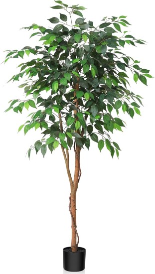 71h0Xflht1L._AC_SX679_.jpg